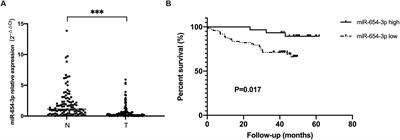 Downregulation of miR-654-3p in Colorectal Cancer Indicates Poor Prognosis and Promotes Cell Proliferation and Invasion by Targeting SRC